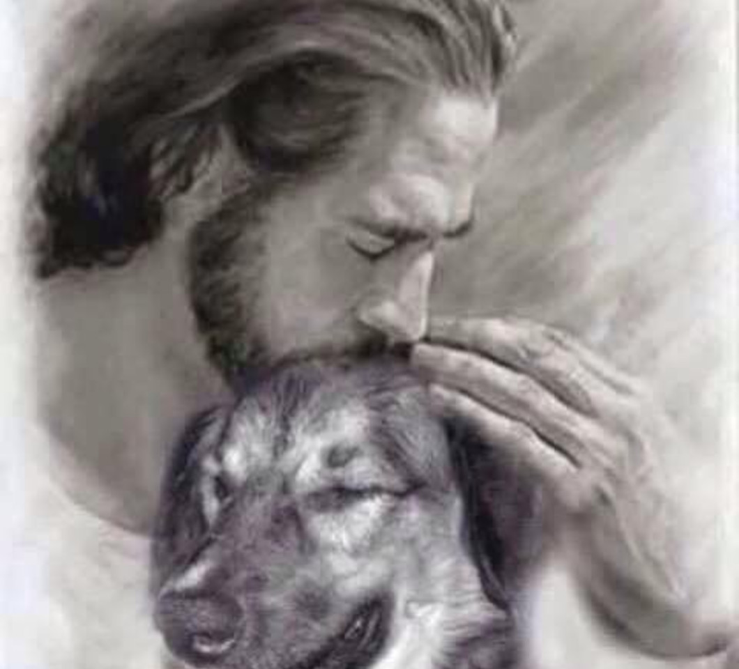 Will my dog go to heaven?